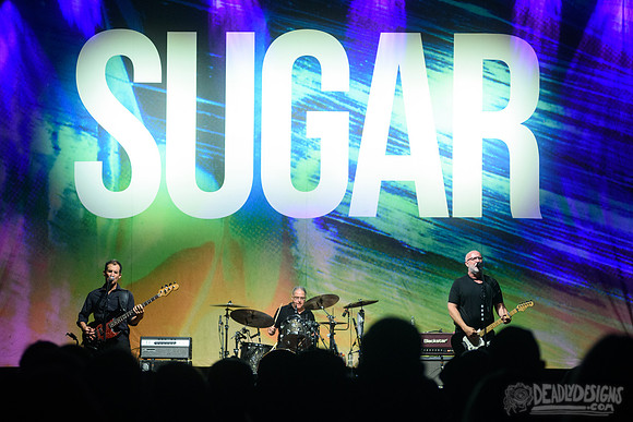 Sugar