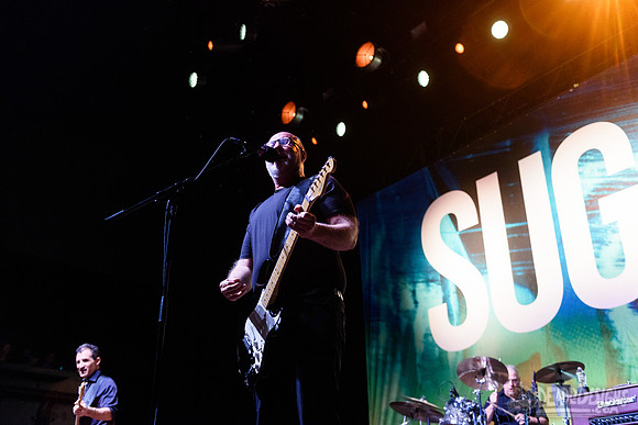 Sugar