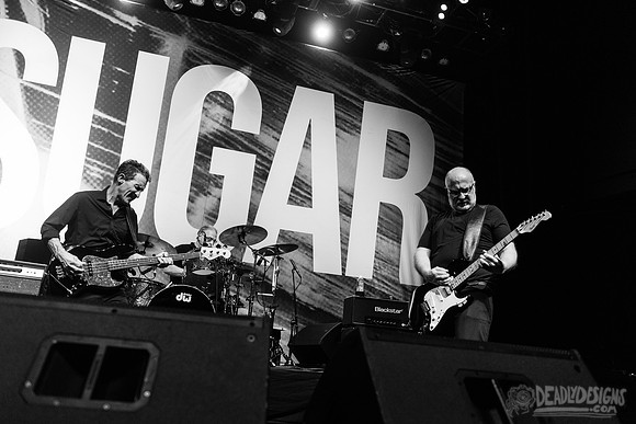 Sugar