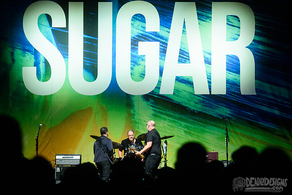 Sugar