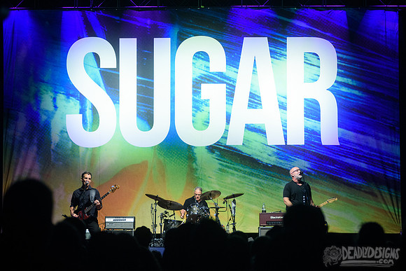 Sugar