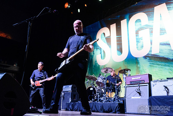 Sugar