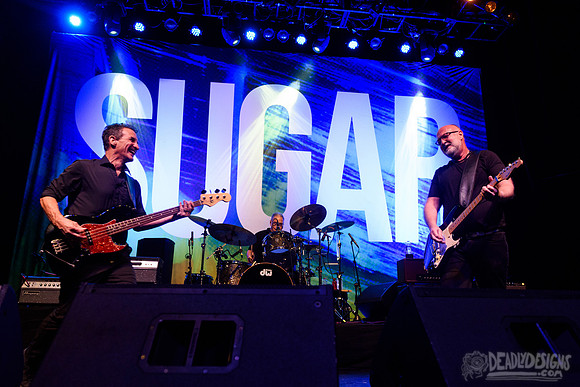 Sugar