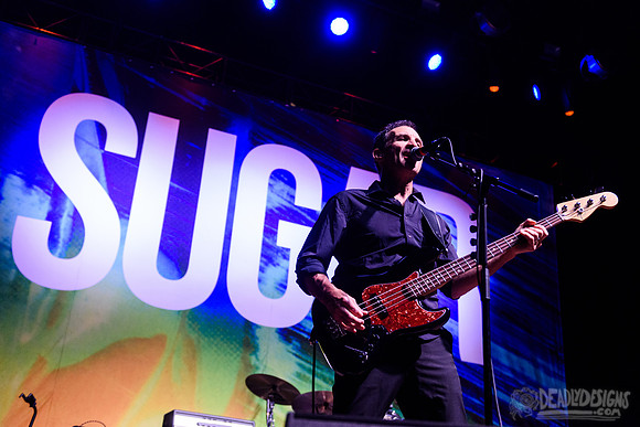 Sugar