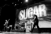 Sugar