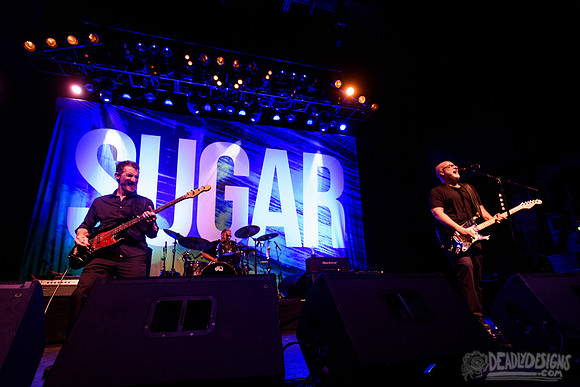 Sugar