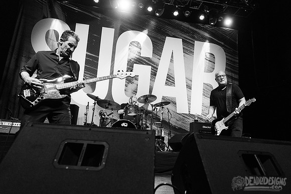 Sugar