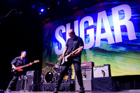 Sugar