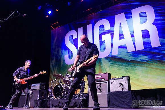 Sugar