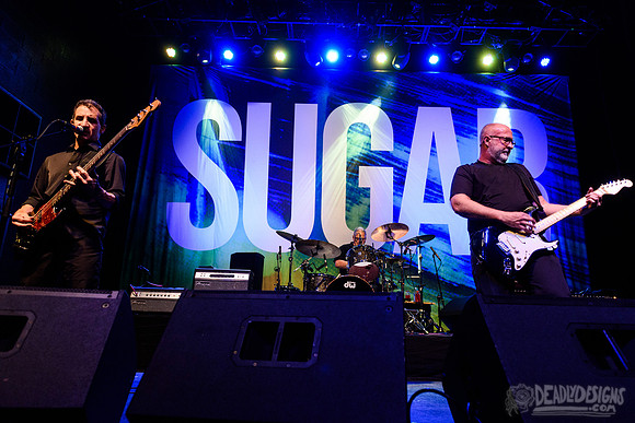 Sugar