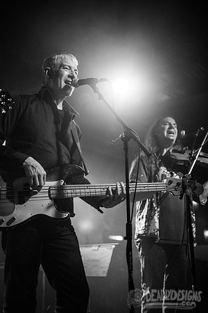 Camper Van Beethoven