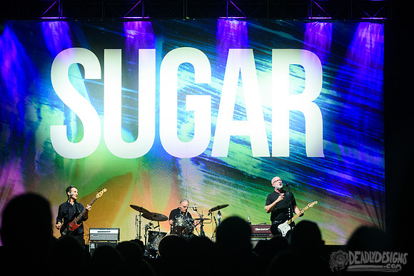 Sugar