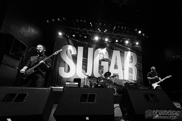 Sugar