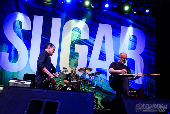 Sugar