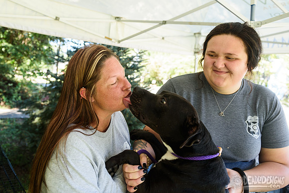 Barrow County Animal Shelter