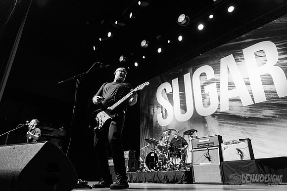 Sugar