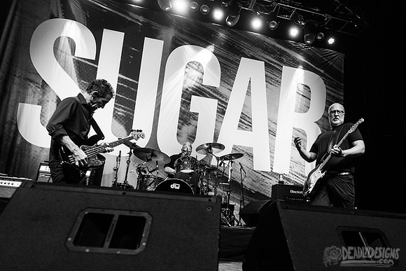 Sugar