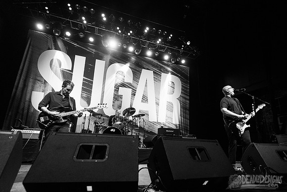 Sugar