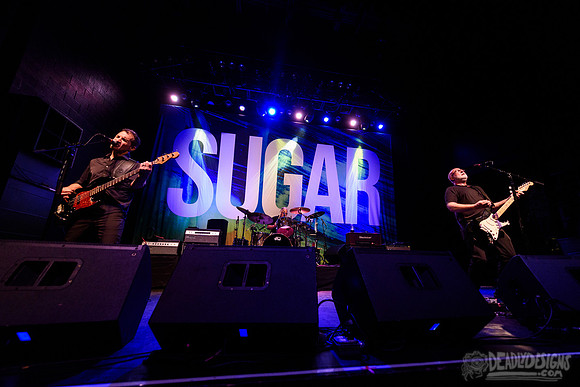Sugar