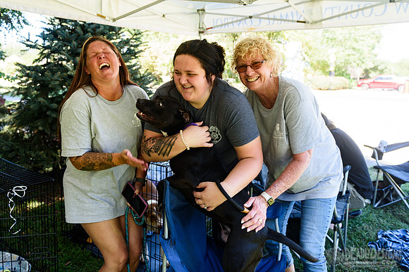 Barrow County Animal Shelter