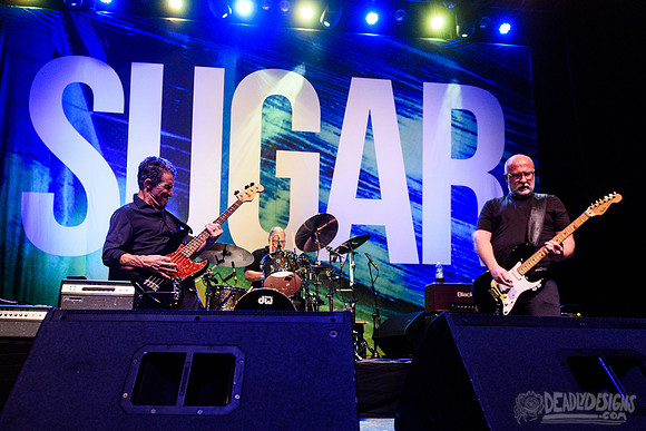 Sugar