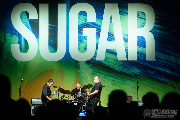 Sugar