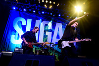 Sugar