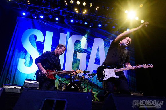 Sugar
