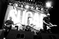 Sugar