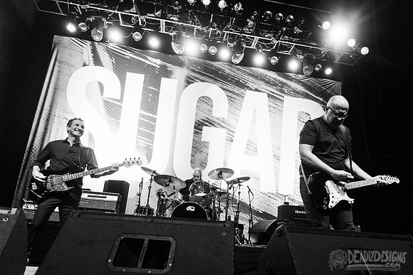 Sugar