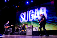 Sugar