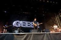 Geese