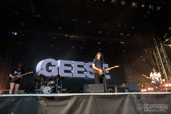 Geese
