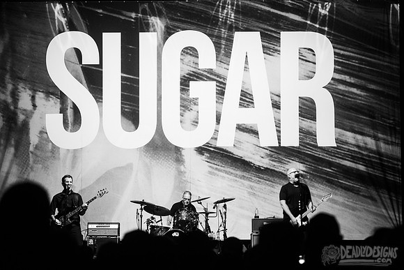 Sugar
