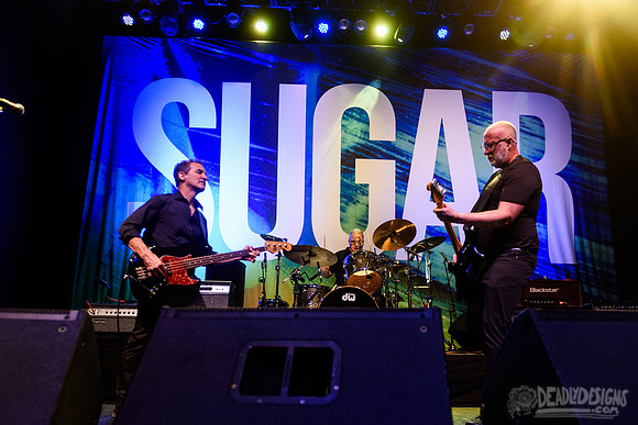 Sugar