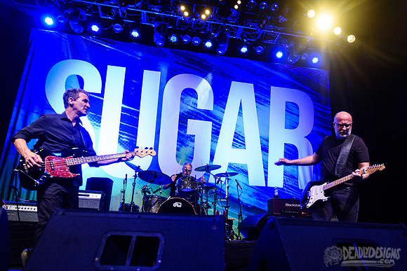 Sugar