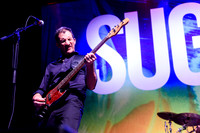 Sugar
