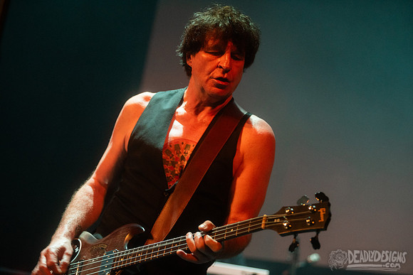 The Chameleons