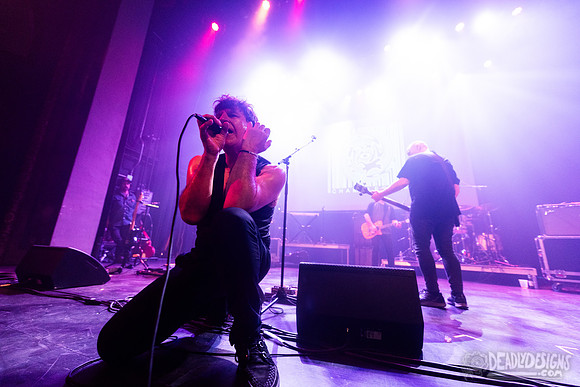 The Chameleons