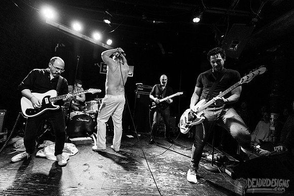Les Savy Fav
