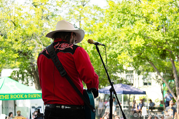 Smokey Jones and the 3 Dollar Pistols (by Nicole Allario)