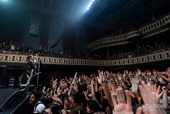 The Hives