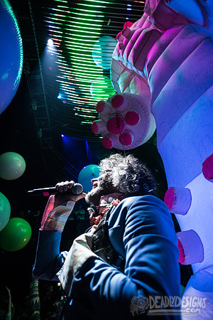 The Flaming Lips