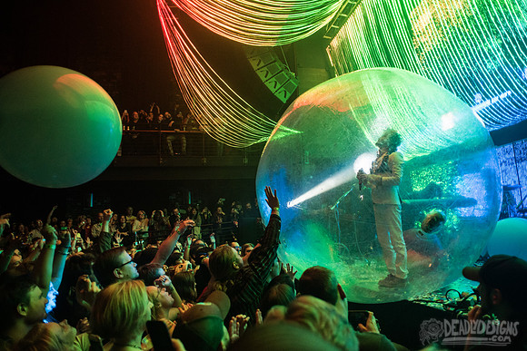 The Flaming Lips