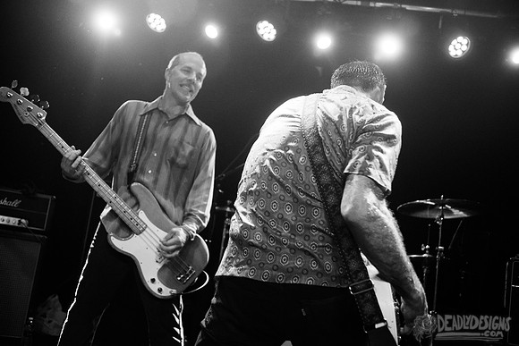 Hot Snakes