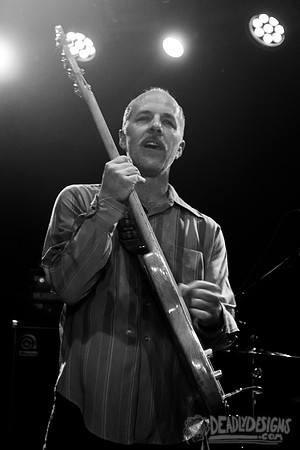 Hot Snakes