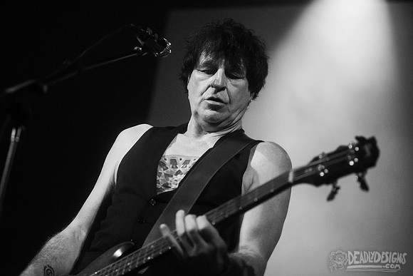 The Chameleons