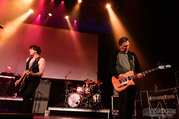 The Chameleons