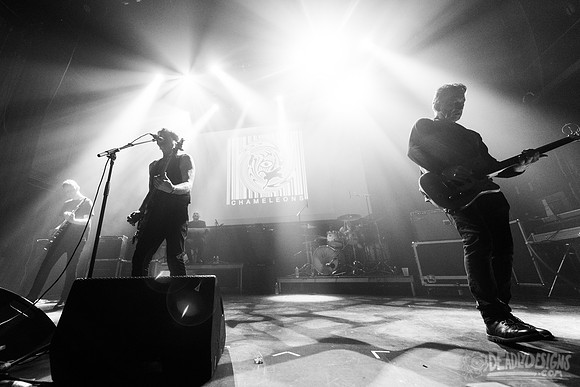 The Chameleons