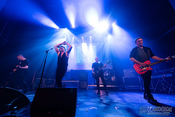 The Chameleons